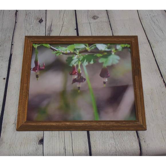 Flowers Brown Framed Print